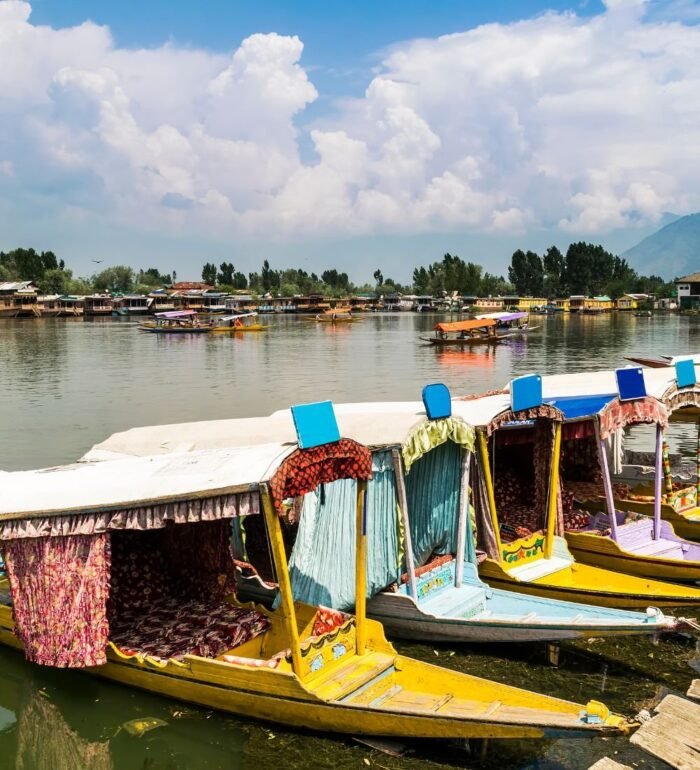 Kashmir Honeymoon - Image 2