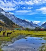 Kashmir Honeymoon