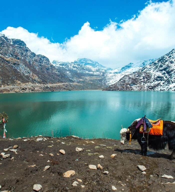 Beautiful Gangtok Holiday Tour Package - Image 3
