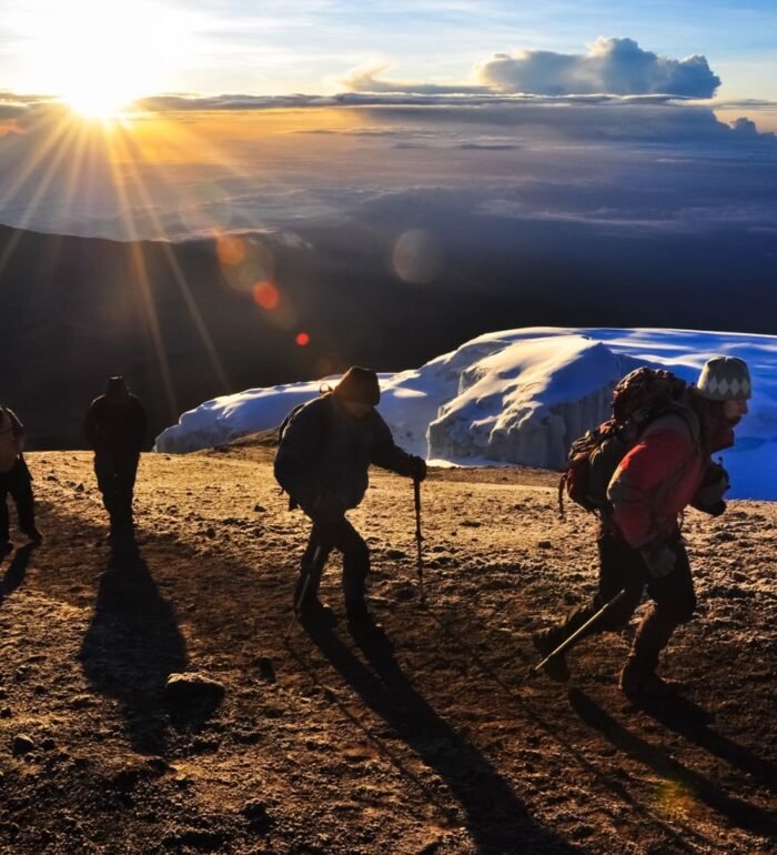 Kilimanjaro Trek - Image 1