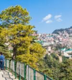 Shimla Manali - Honeymoon