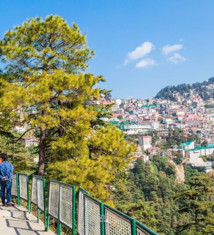 Shimla Manali - Honeymoon - Image 1