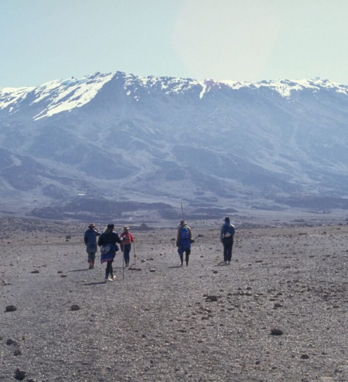 Kilimanjaro Trek - Image 2