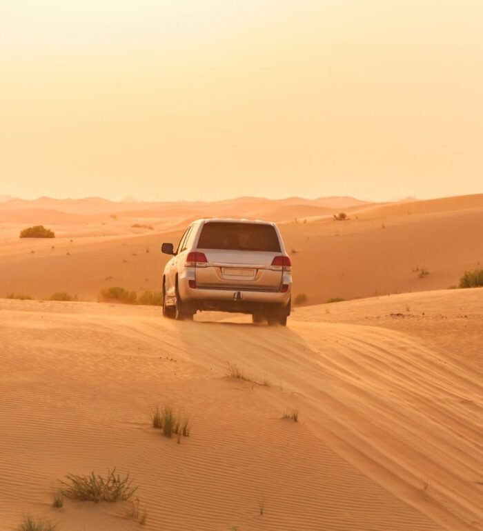 Best Of Saudi Arabia - Image 4